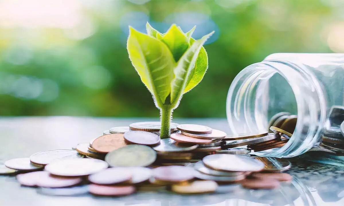 Investment Plan 