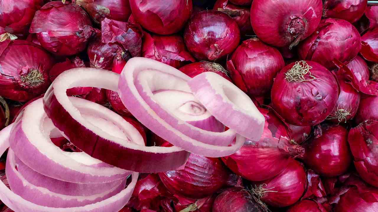 Onion Price Update