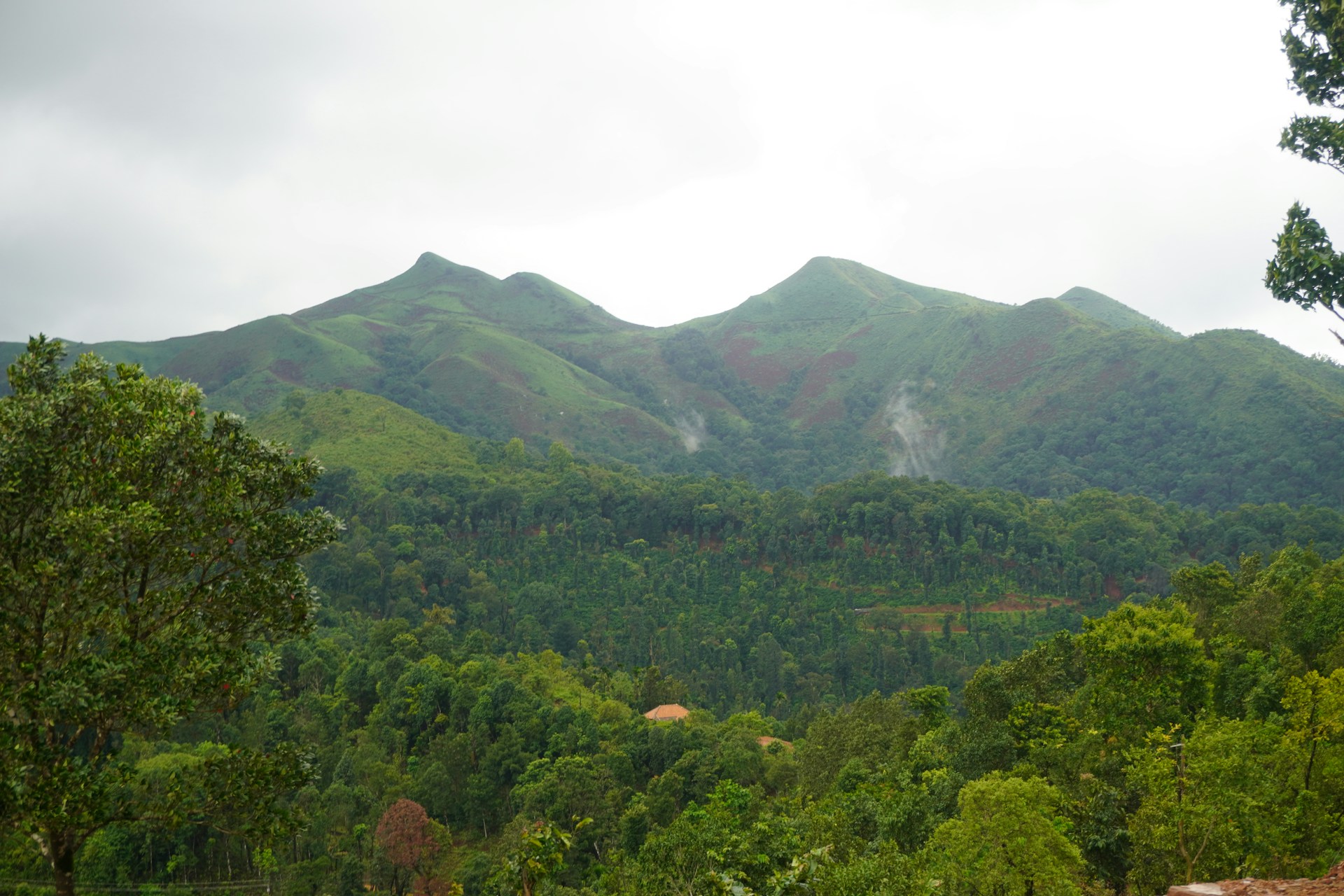 Chikmagalur, Karnataka, India