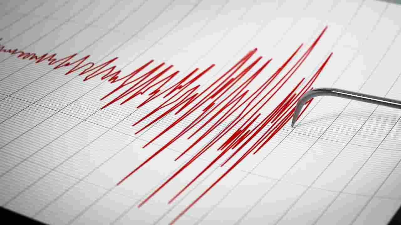 Japan Earthquake