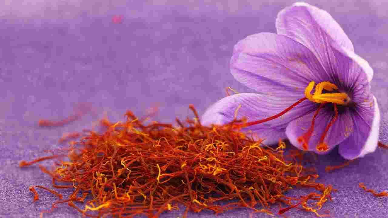 Red Gold