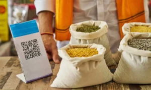 UPI Payment New Rule: ৩০ জুন থেকে UPI পেমেন্টের নিয়ম বদলে যাবে, জানুন সবটা